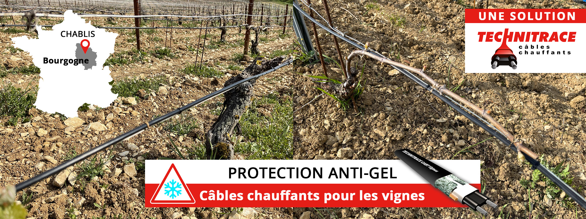 Protection anti-gel des vignes – Câbles chauffants – Chablis Bourgogne France – TECHNITRACE